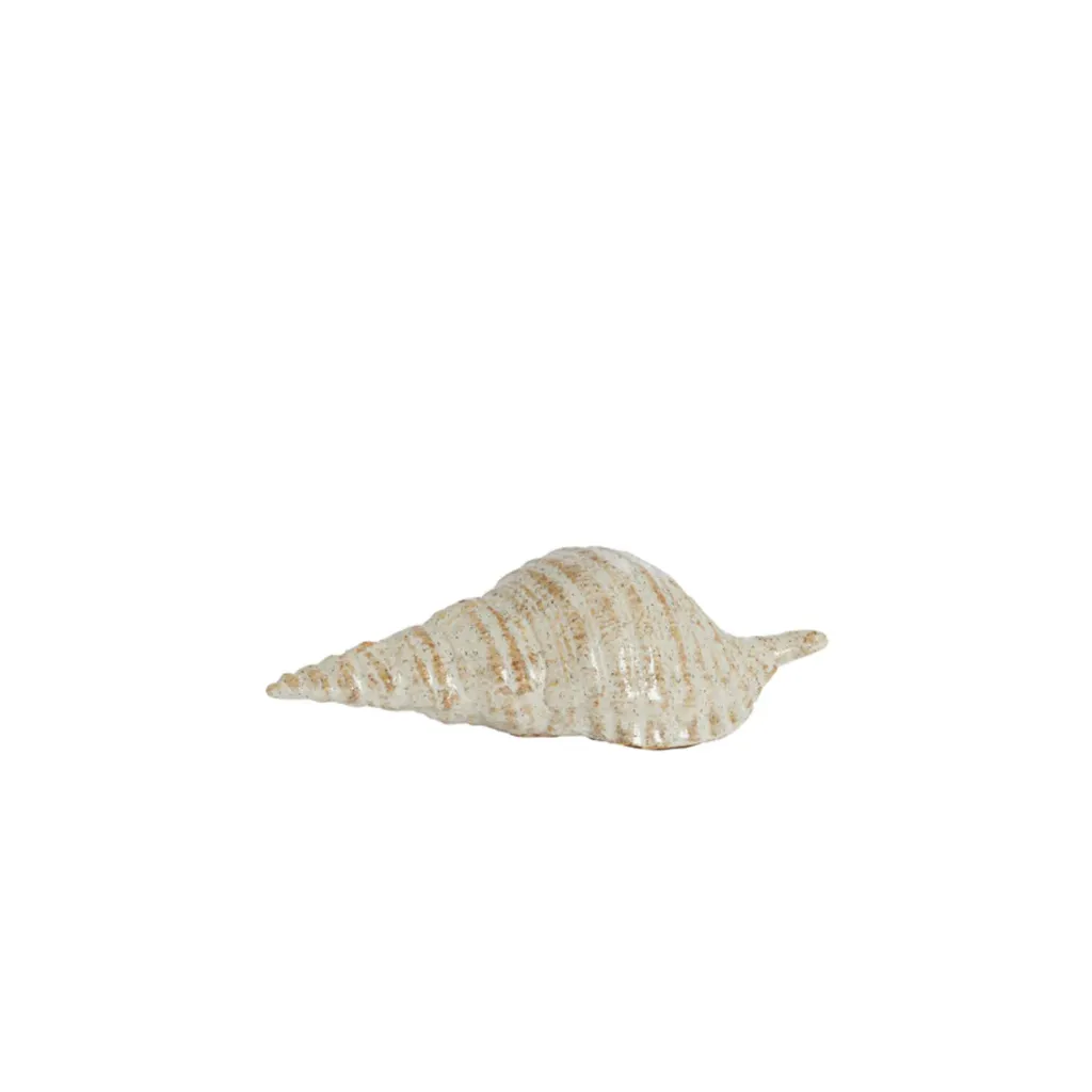 Ornament 23x9,5x7,5 cm SHELL Keramiek Crème-Zand