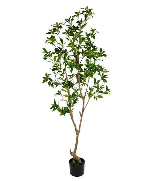 [17273180] Arbutus - H180 - Groen