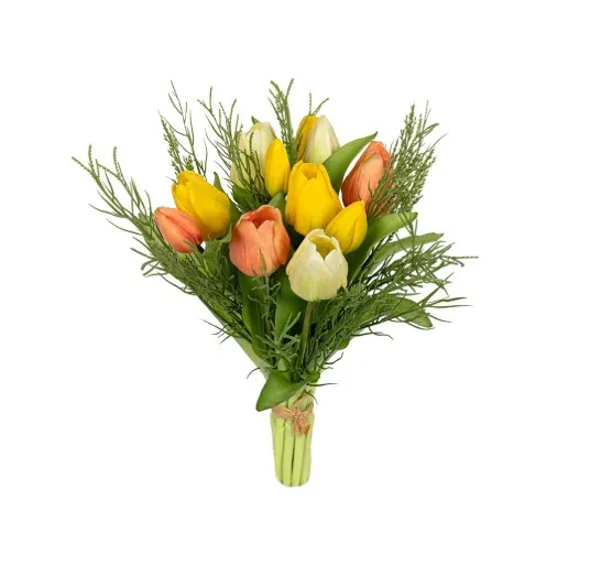 Tulpenbundel - Gras h30cm - Mix